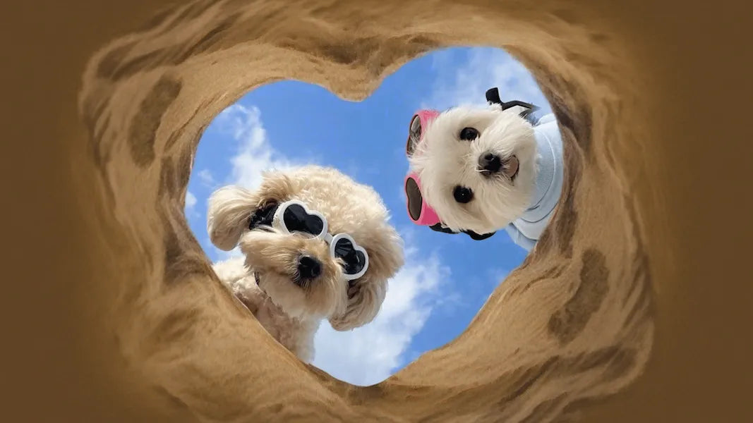 Ideas para ahorrar en pareja y cumplir metas juntos 💞