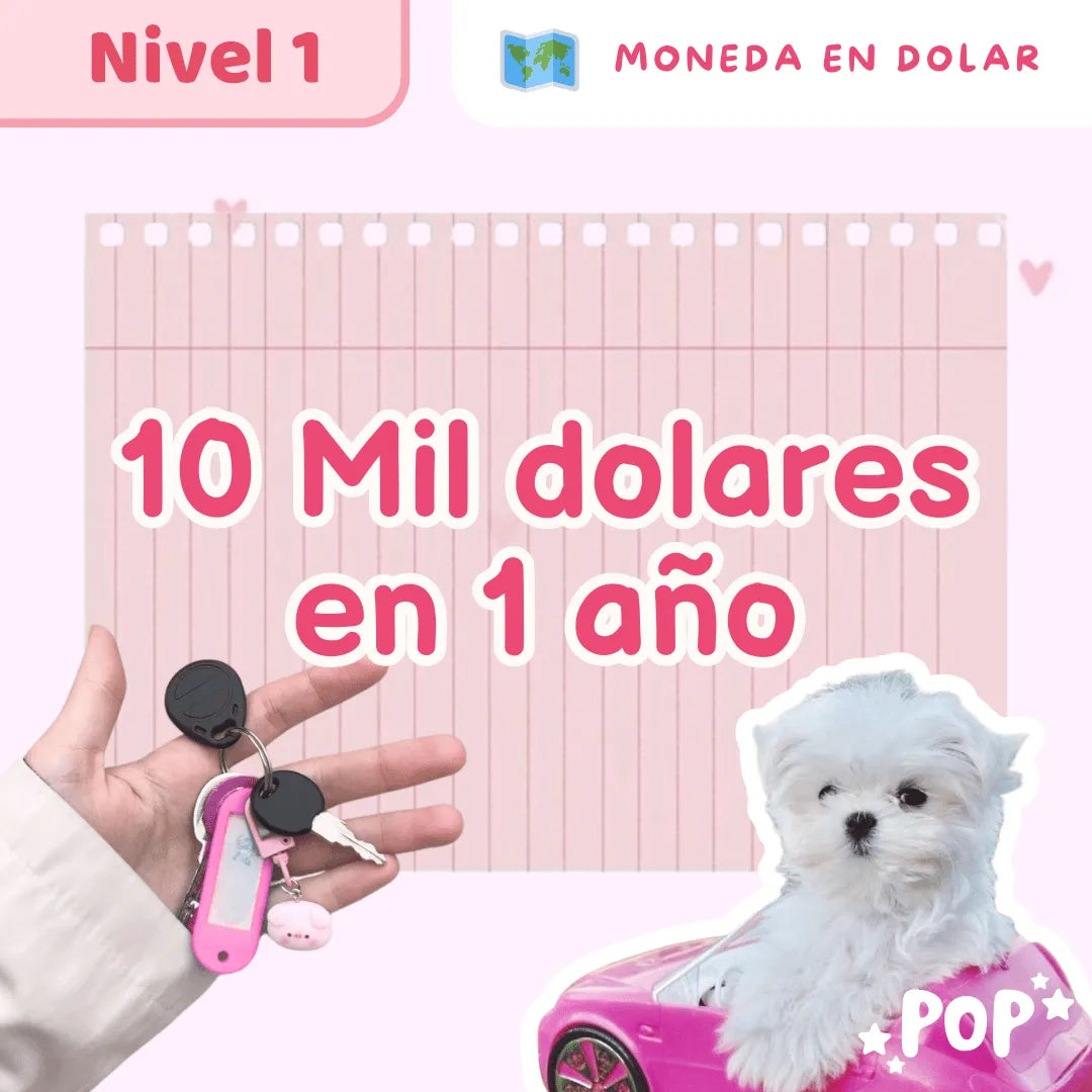 Plantillas de ahorro - Modo dolar - nivel 3