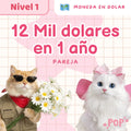 Plantillas de ahorro - Modo dolar - nivel 4