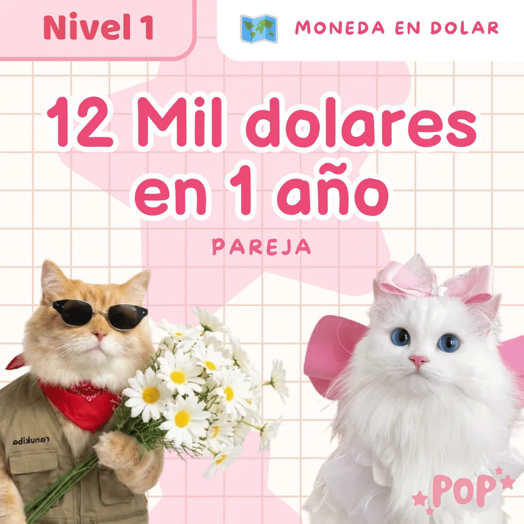 Plantillas de ahorro - Modo dolar - nivel 4