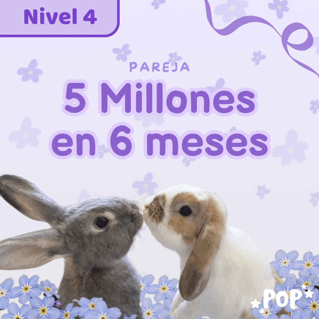 Plantilla de ahorro - Modo inicial - Nivel 4