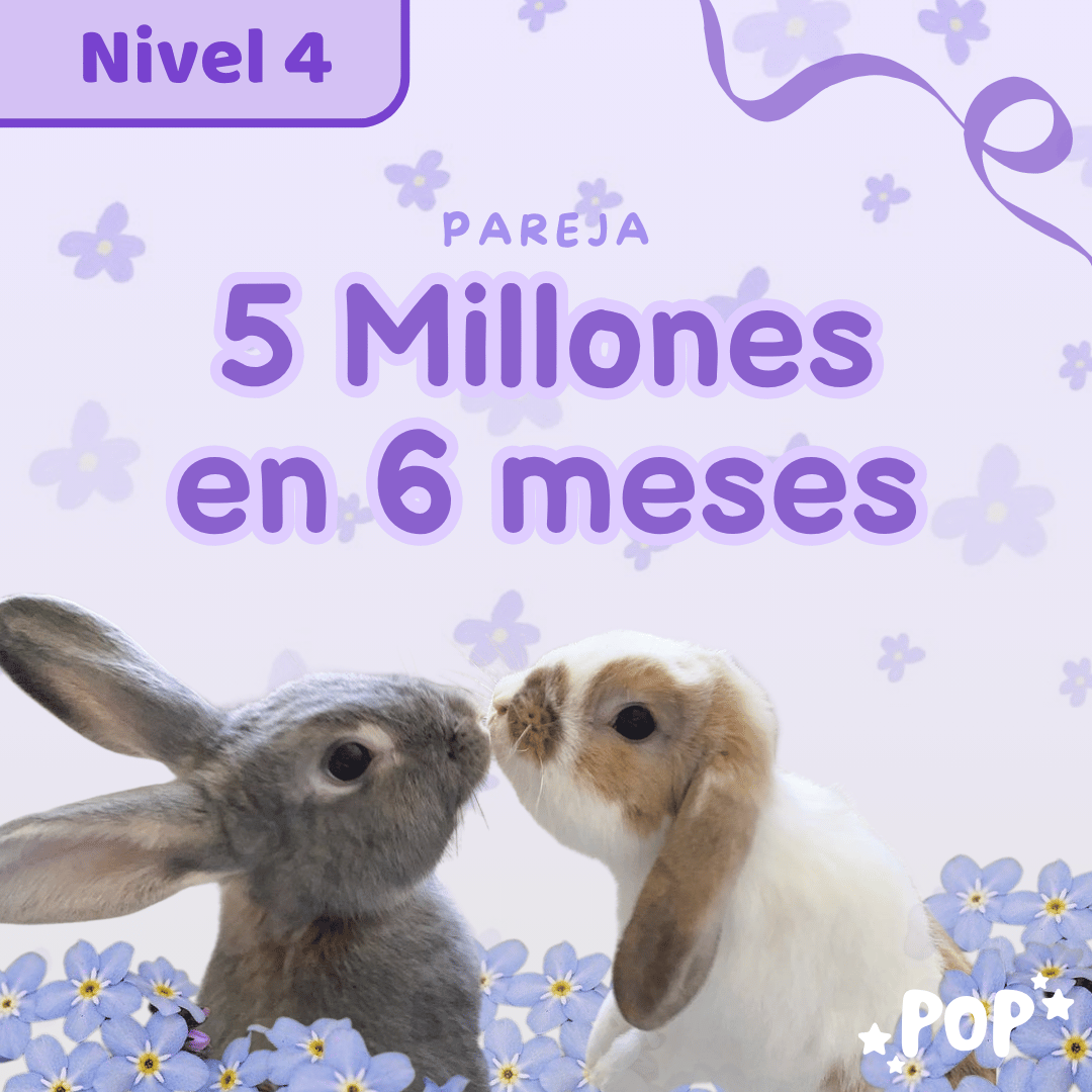 Plantilla de ahorro - Modo inicial - Nivel 4