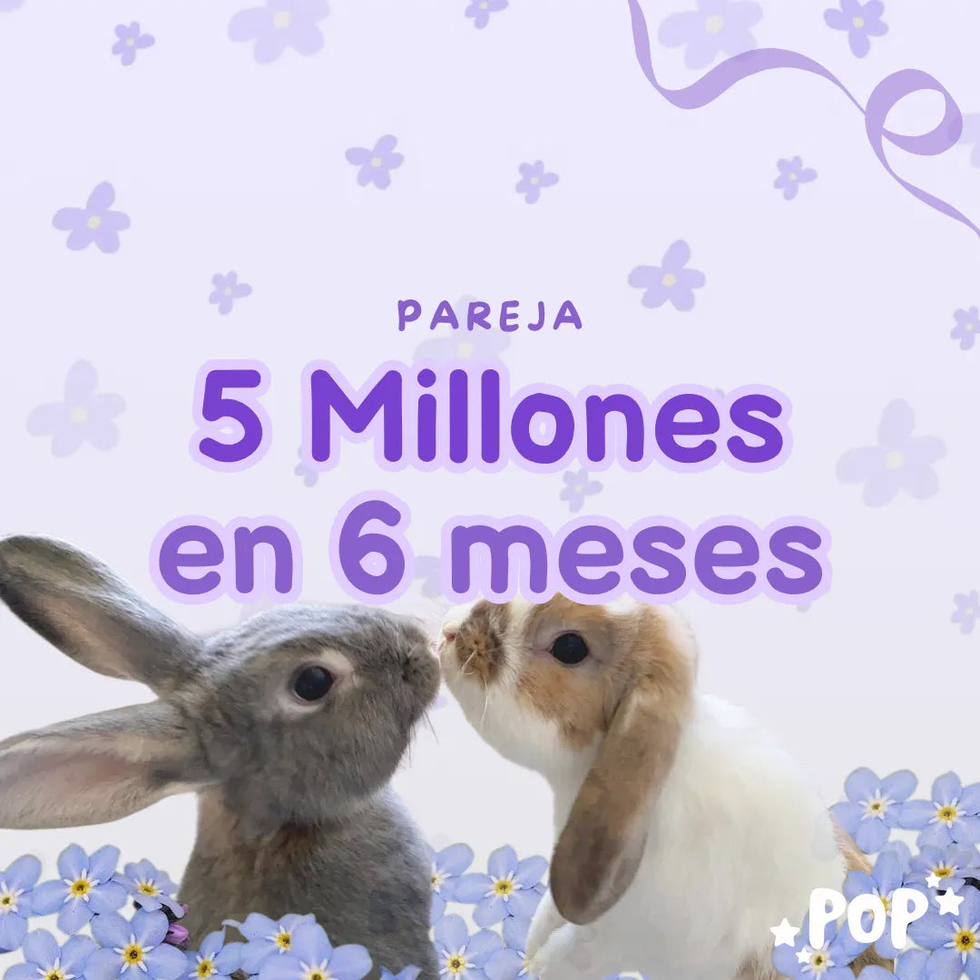 Plantilla de ahorro de 5 millones de pesos colombianos en 6 meses ahorro de pareja - Plantillas Pop