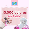 Plantilla de ahorro de 10.000 dólares en 1 año para imprimir