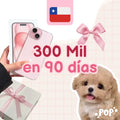 Plantilla de ahorro de 300 mil pesos chilenos en 90 días para imprimir
