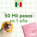 Plantilla de ahorro de 50 mil pesos mexicanos en 1 año para imprimir