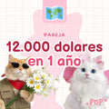 Plantilla de ahorro en pareja de 12.000 dólares en 1 año para imprimir