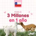 Plantilla de ahorro en pareja de 3 millones de pesos chilenos en 1 año para imprimir