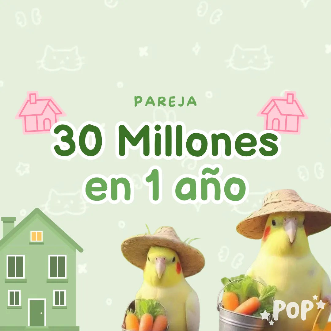 Plantilla de ahorro en pareja de 30 millones en 1 año para imprimir