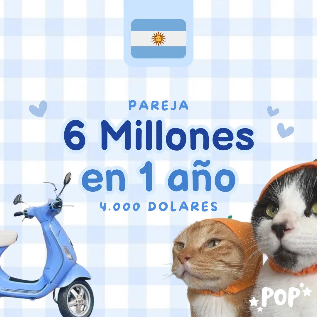Plantilla de ahorro en pareja de 6 millones de pesos argentinos en 1 año para imprimir