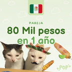 Plantilla de ahorro en pareja de 80 mil pesos mexicanos en 1 año para imprimir